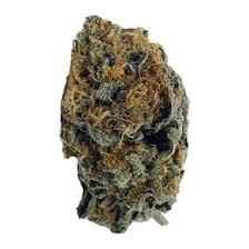 Gello Shotz Strain
