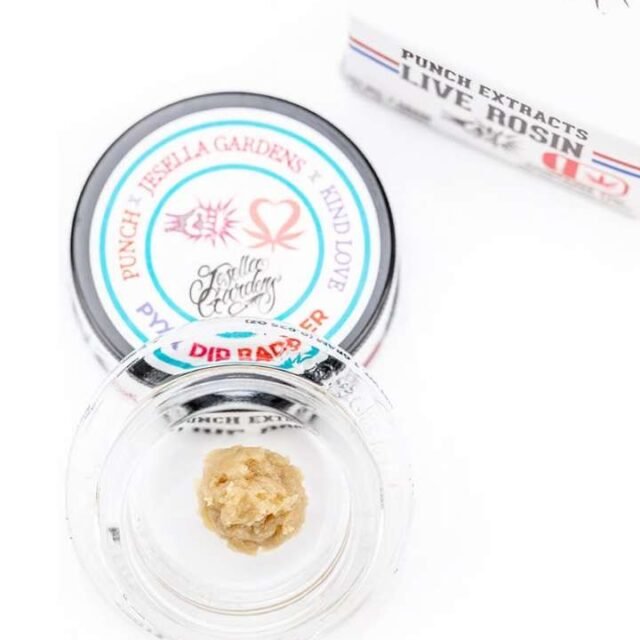 Pyxy Dip Live Rosin 1g
