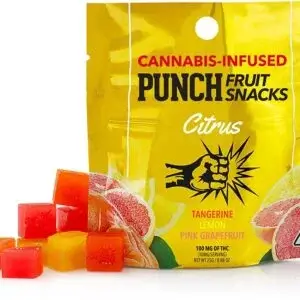 Citrus Punch Fruit Snack