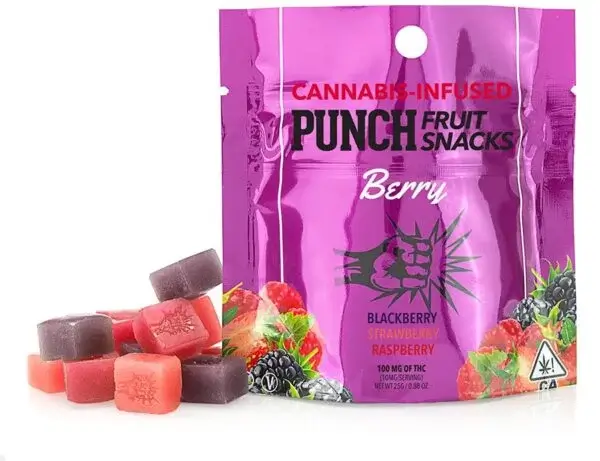 Berry Punch Fruit Snack